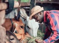 Nick Mathenge